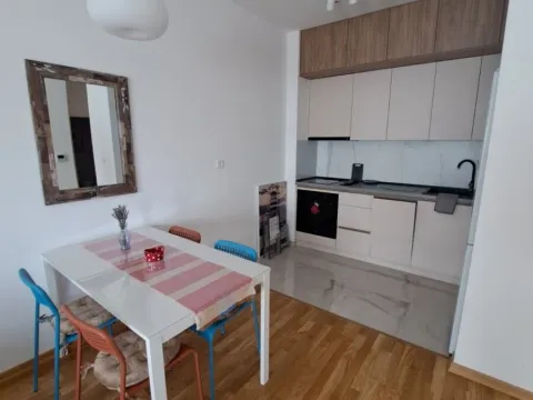Rent, one bedroom apartment, 54m², Zagorič, Podgorica - image 15