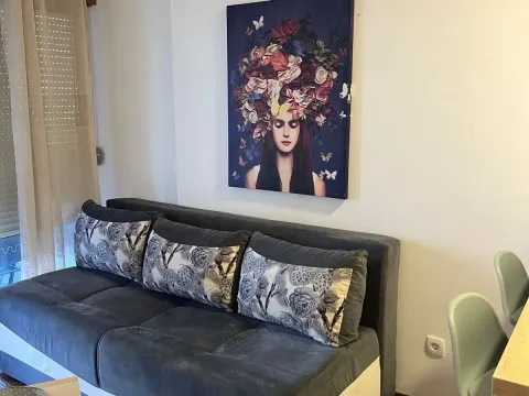 Rent, studio apartment, 25m², Master Kvart, Podgorica - image 3