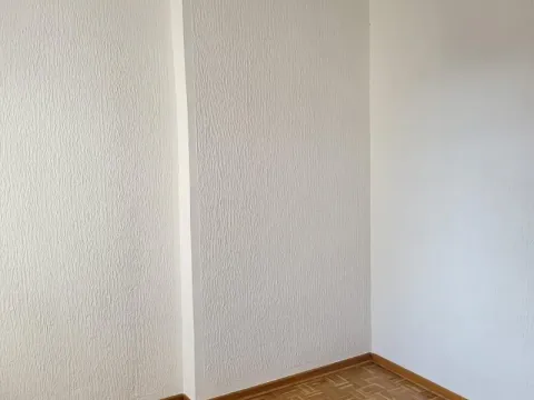 Izdavanje, stan, 16m², Stari Grad, Beograd - image 4