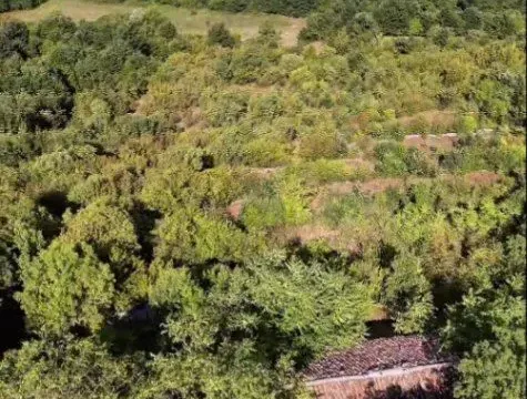 Sale, land lot, 103147m², Sladojevo Kopito, Danilovgrad - image 6