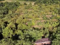 Sale, land lot, 103147m², Sladojevo Kopito, Danilovgrad - image 6