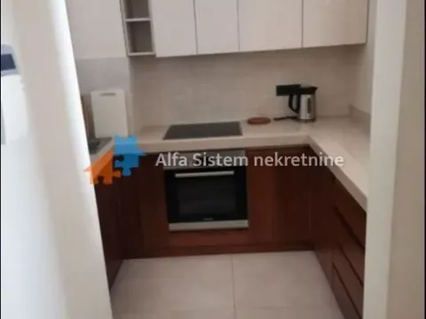 Rent, two bedroom apartment, 63m², Novi Beograd Sve Podlokacije, Beograd - image 7