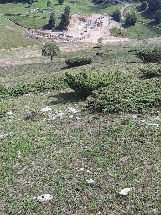 Prodaja, plac, 3923m², Bjelojevići, Mojkovac