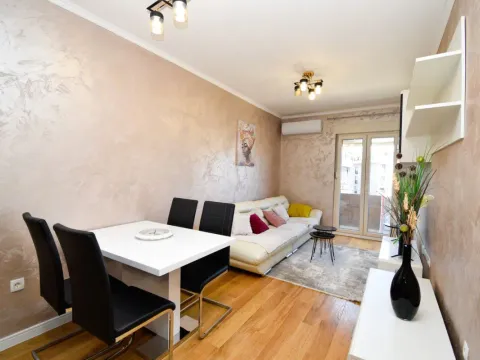 Izdavanje, jednosoban stan, 42m², Central Point, Podgorica - image 2