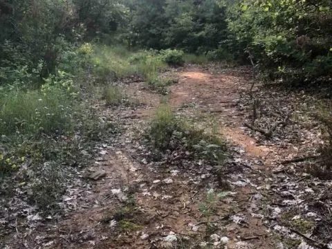 Sale, land lot, 18900m², Velja Gorana, Bar - image 11