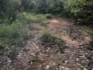 Prodaja, plac, 18900m², Velja Gorana, Bar - image 11