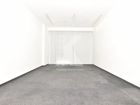 Izdavanje, poslovni prostor, 220m², Preko Morače, Podgorica - image 8