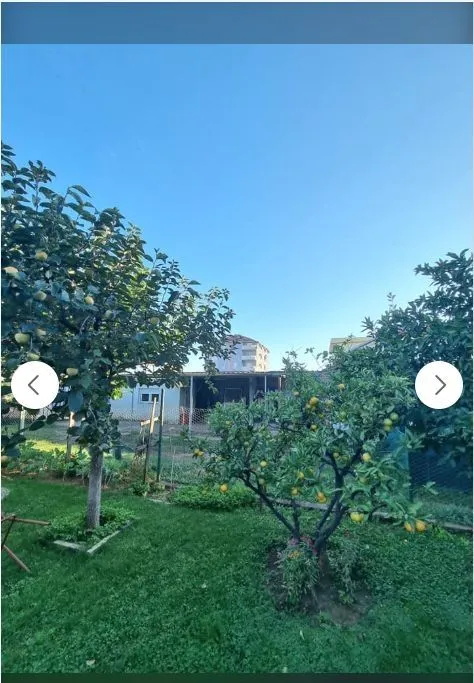 Dvorište sa zelenim travnjakom i voćkama, u pozadini se vidi kuća.