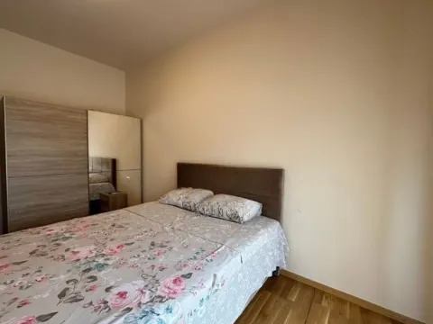 Izdavanje, dvosoban stan, 76m², Tološi, Podgorica - image 4