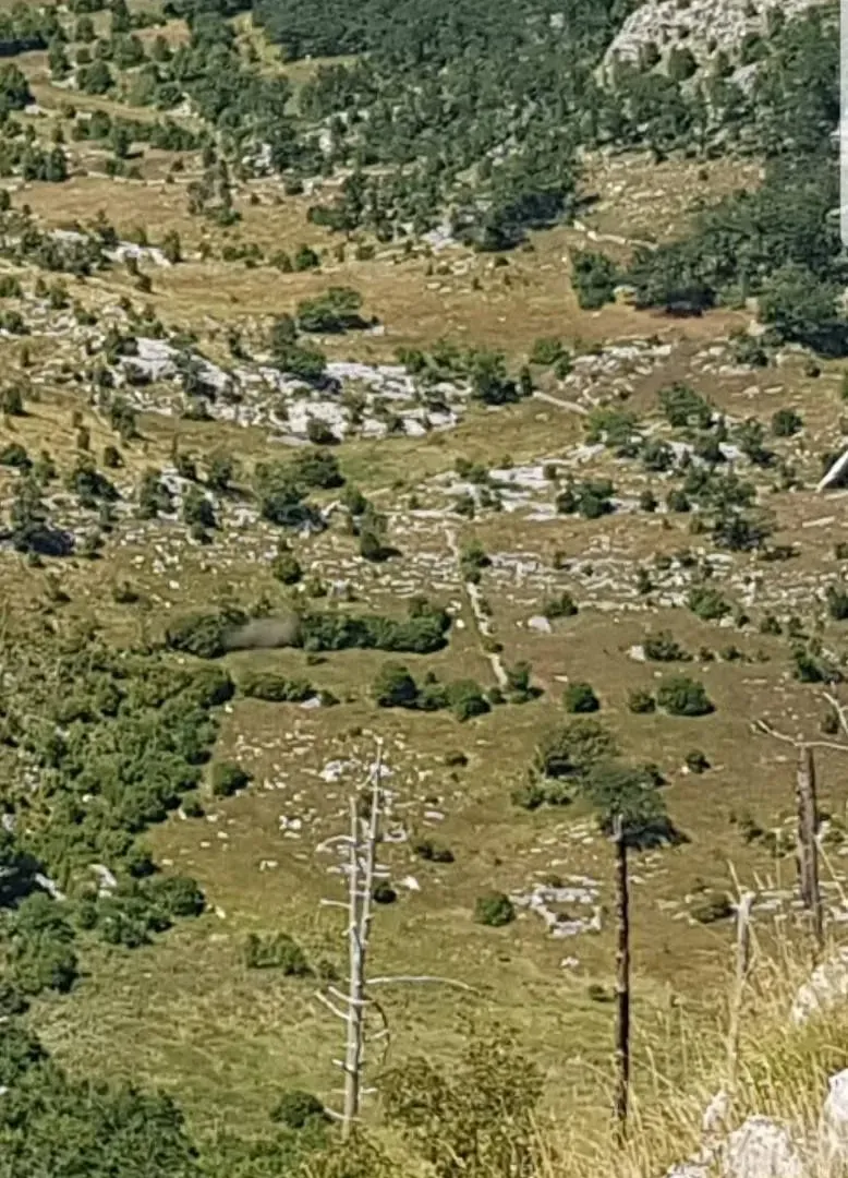 Prodaja, plac, 725000m², Podgorica, Crna Gora