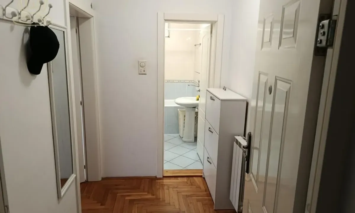 Izdavanje, dvosoban stan, 47m², Podbara, Novi Sad Sve Podlokacije