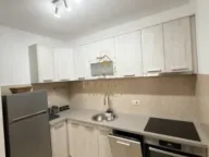 Izdavanje, jednosoban stan, 44m², Stari Aerodrom, Podgorica - image 6