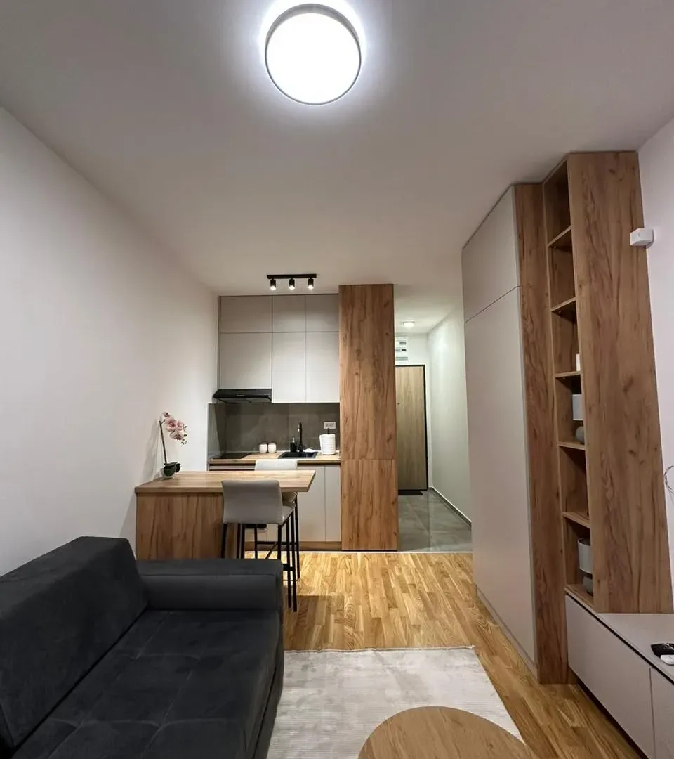 Izdavanje, stan, 24m², Zabjelo, Podgorica