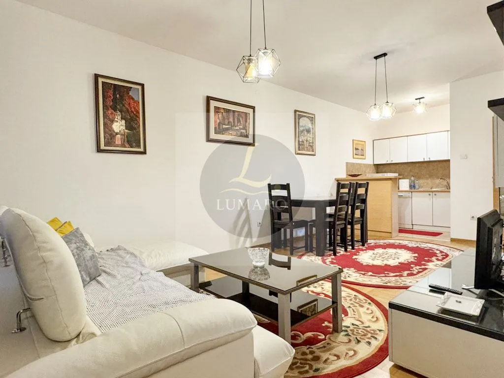 Izdavanje, jednosoban stan, 50m², Krivi Most, Podgorica