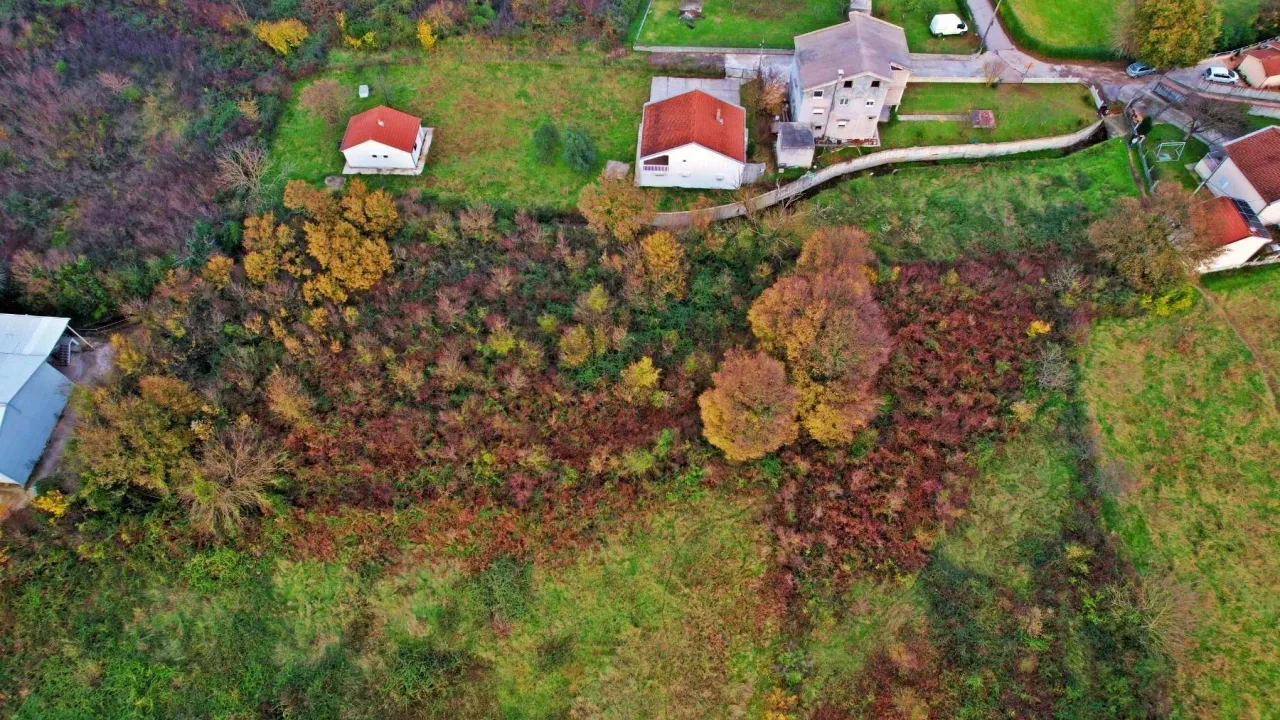 Prodaja, plac, 3369m², Radanovići, Kotor