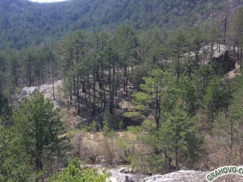 Prodaja, plac, 26m², Nikšić, Crna Gora - image 5