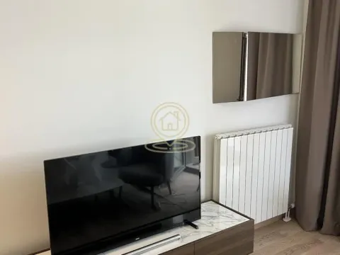 Izdavanje, dvosoban stan, 56m², Savski Venac, Beograd - image 6