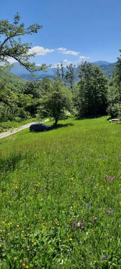 Prodaja, plac, 19200m², Štitarica, Mojkovac