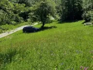 Prodaja, plac, 19200m², Štitarica, Mojkovac - image 2