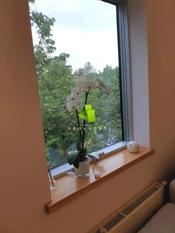 Rent, apartment, 36m², Medijana, Niš