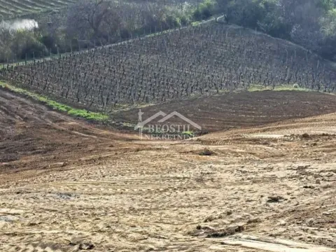 Prodaja, plac, 4966m², Brestovik, Grocka - image 9