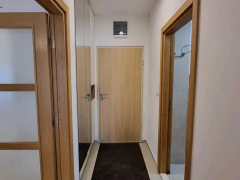 Rent, one bedroom apartment, 48m², Stari Aerodrom, Podgorica - image 12