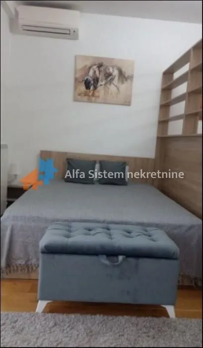 Rent, one bedroom apartment, 45m², Tašmajdan, Palilula Sve Podlokacije