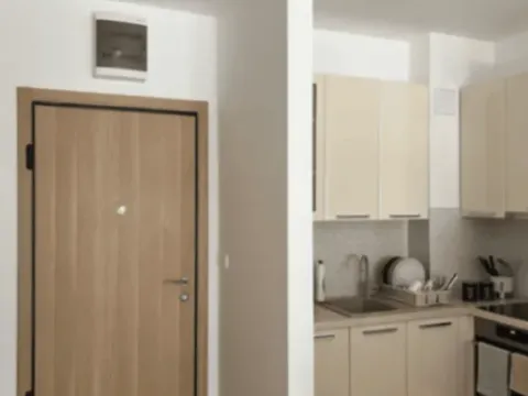 Rent, apartment, 50m², Golubovina, Budva - image 2