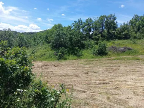 Prodaja, plac, 77200m², Velimlje, Nikšić - image 4