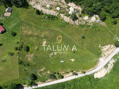 Prodaja, plac, 11000m², Drijenak, Kolašin - image 3