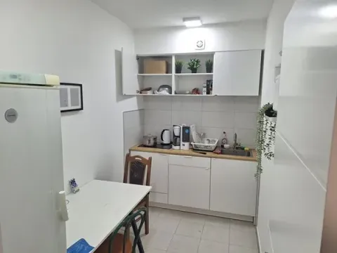 Izdavanje, poslovni prostor, 1700m², Zemun Sve Podlokacije, Beograd - image 10