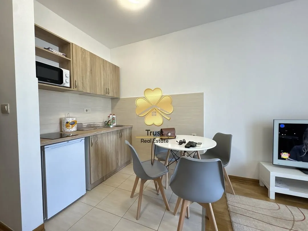 Izdavanje, garsonjera, 30m², Blok 6, Podgorica