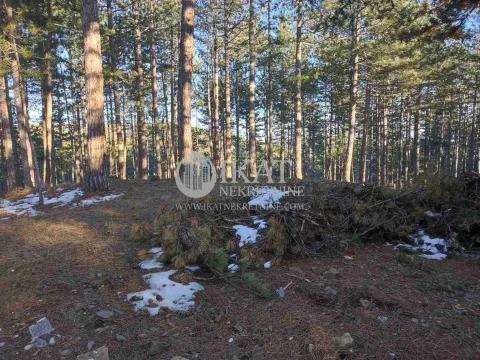 Sale, land lot, 1272m², Tara, Srbija - image 4