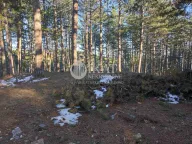 Prodaja, plac, Tara, Srbija - image 4