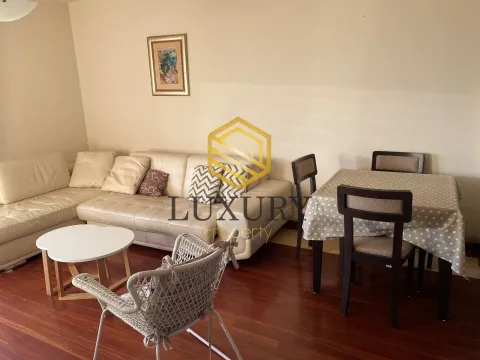 Izdavanje, jednosoban stan, 53m², Centar, Podgorica - image 14