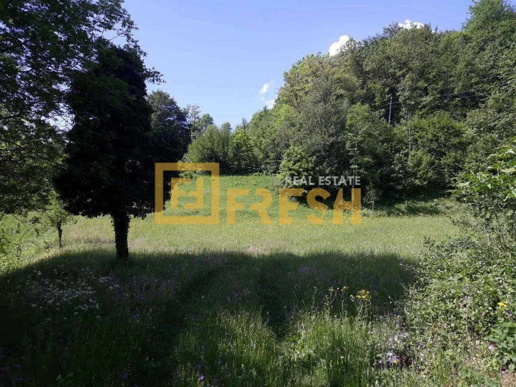Prodaja, plac, 74000m², Kolašin, Crna Gora