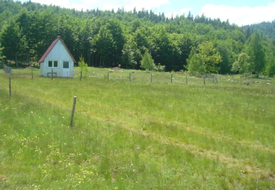 Prodaja, plac, 105000m², Seljani, Plužine