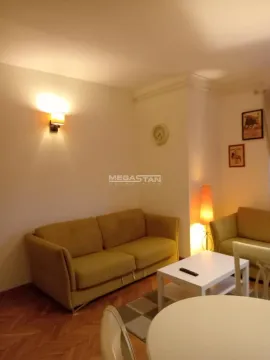 Izdavanje, dvosoban stan, 50m², Palilula Sve Podlokacije, Beograd - image 4