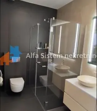 Izdavanje, stan, 231m², Vračar Hram, Vračar Sve Podlokacije - image 10