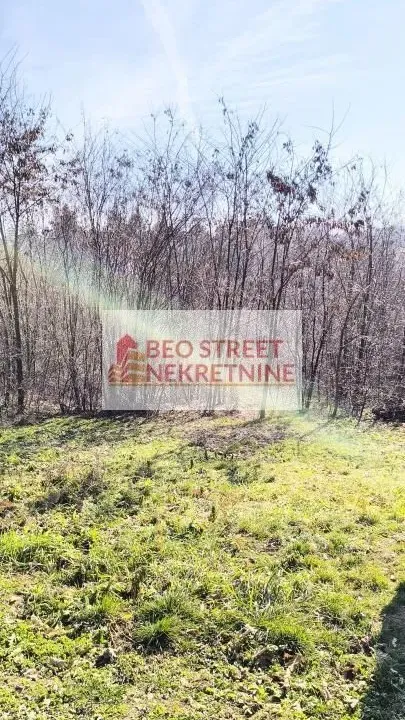 Prodaja, plac, 1400m², Babe, Sopot