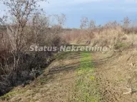 Prodaja, plac, 130m², Beočin, Srbija - image 13