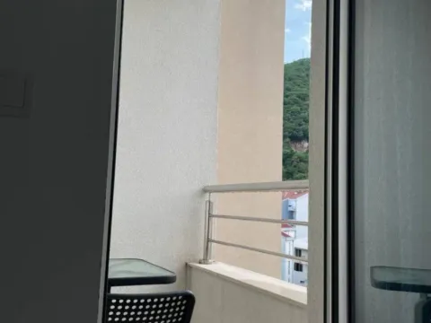 Rent, studio apartment, 28m², Golubovina, Budva - image 9