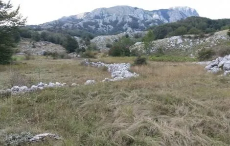 Prodaja, plac, 20000m², Cetinje, Crna Gora