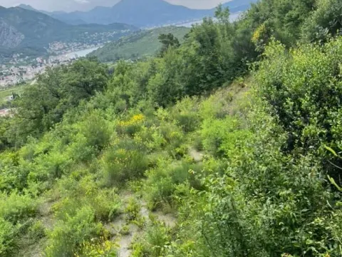 Prodaja, plac, 1600m², Sutomore, Bar - image 3