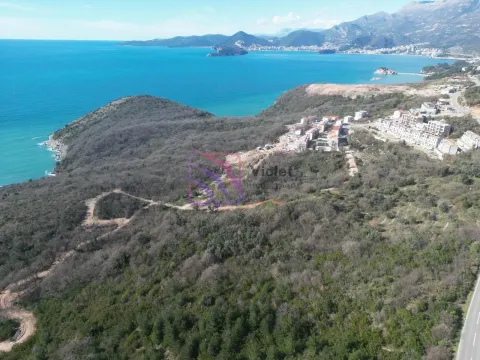 Pogled iz vazduha na prirodu, obalu i more. - image 4