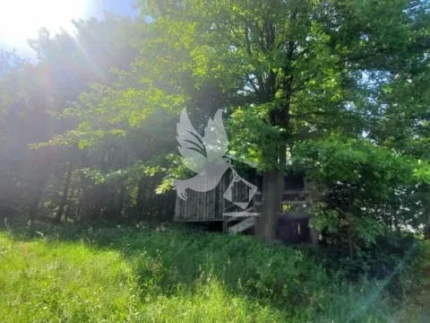 Prodaja, plac, 23000m², Mladenovac, Beograd - image 15