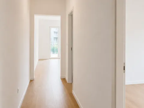 Sale, one bedroom apartment, 55m², Vezirov Most, Podgorica - image 5