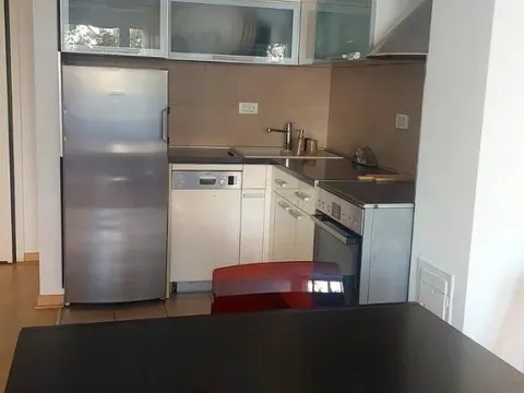 Izdavanje, dvosoban stan, 50m², Vračar, Šid - image 8