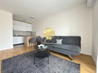 Izdavanje, jednosoban stan, 43m², Pobrežje, Podgorica - image 3