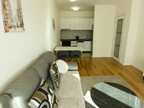 Prodaja, jednosoban stan, 48m², Central Point, Podgorica - image 2